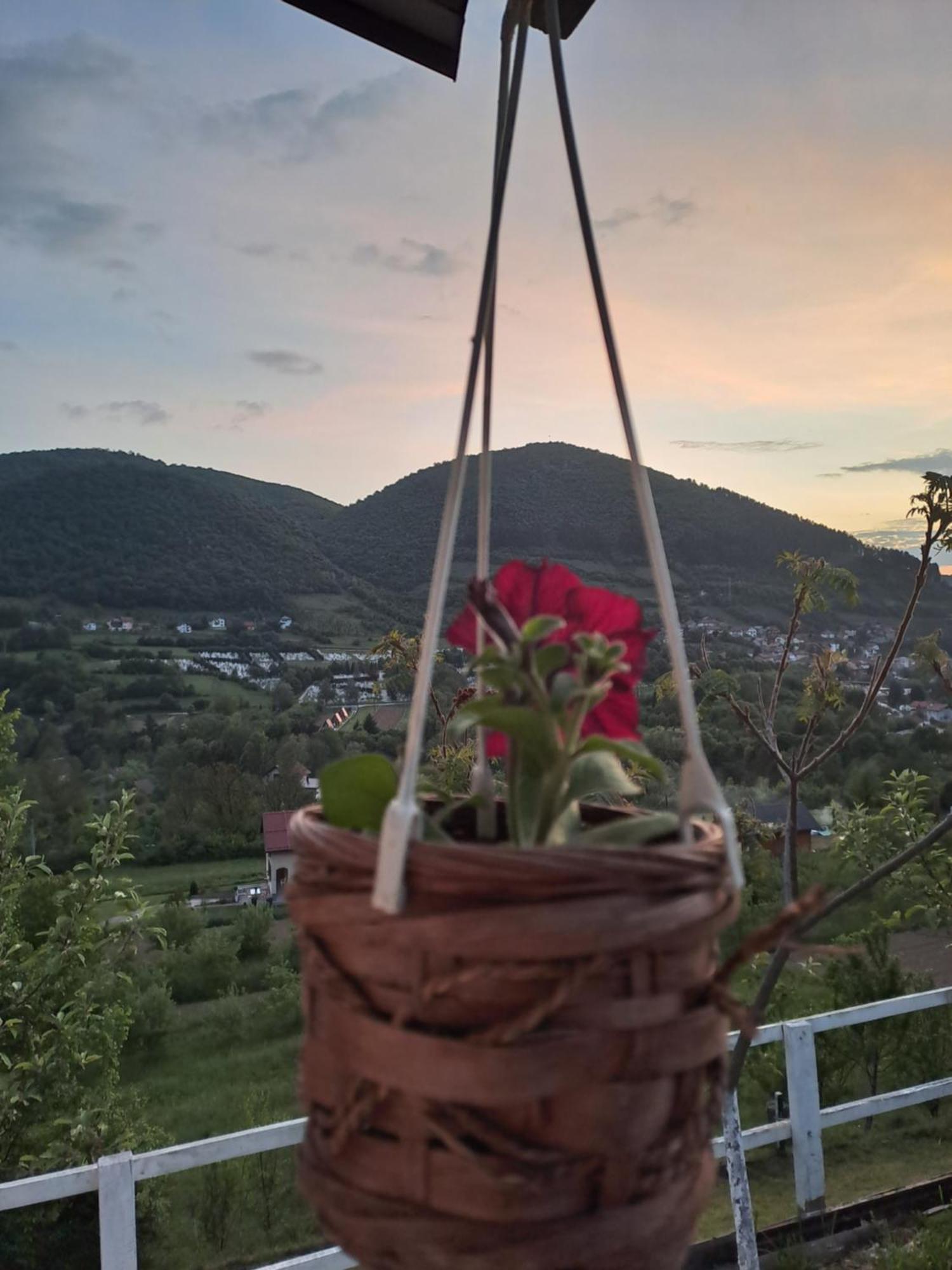 Natural House Visoko Zimmer foto